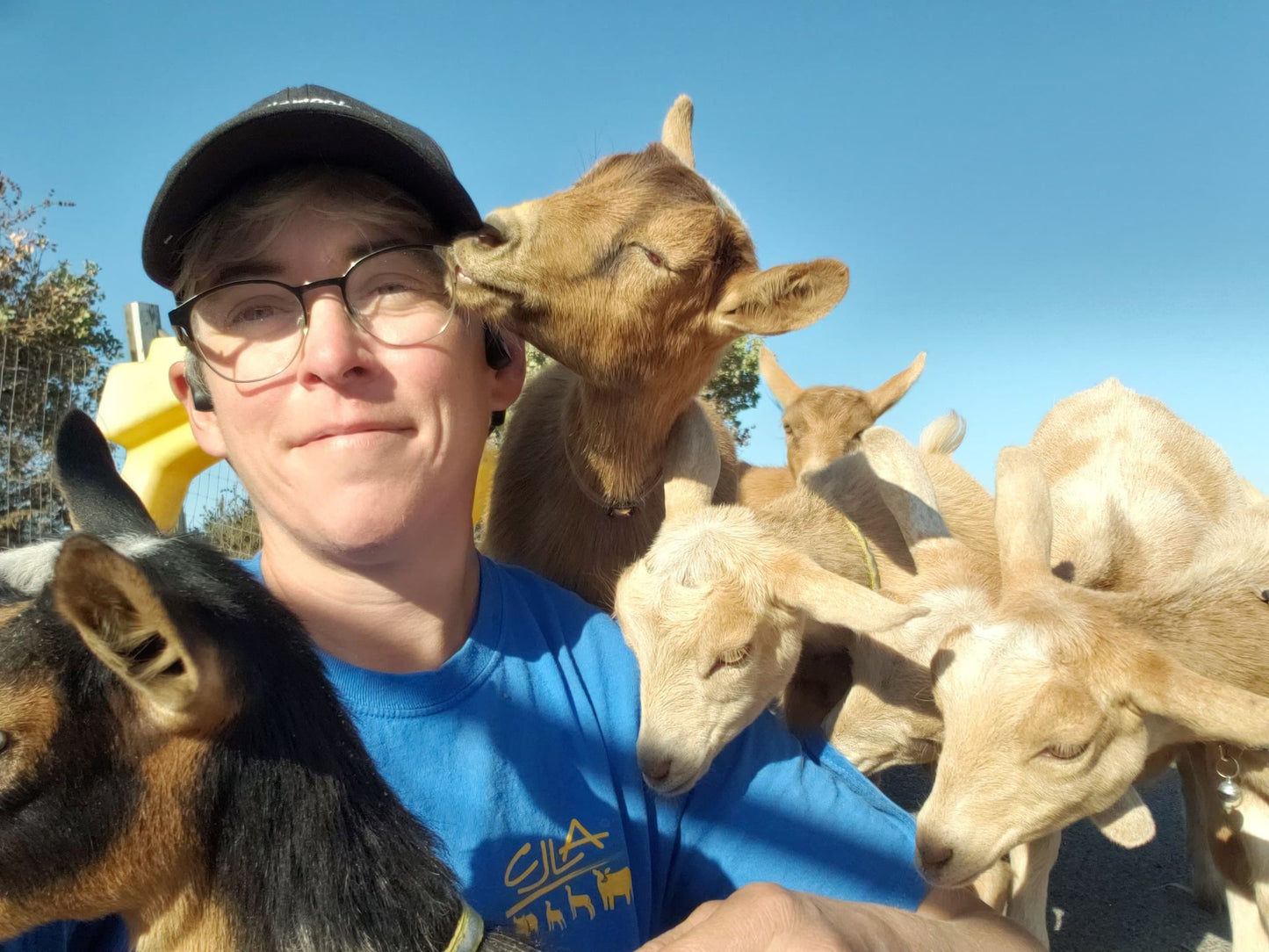 Fund the farm
